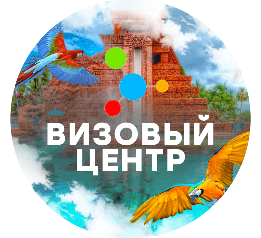 Услуги виз