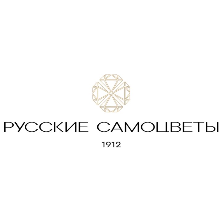 Логотип партнера