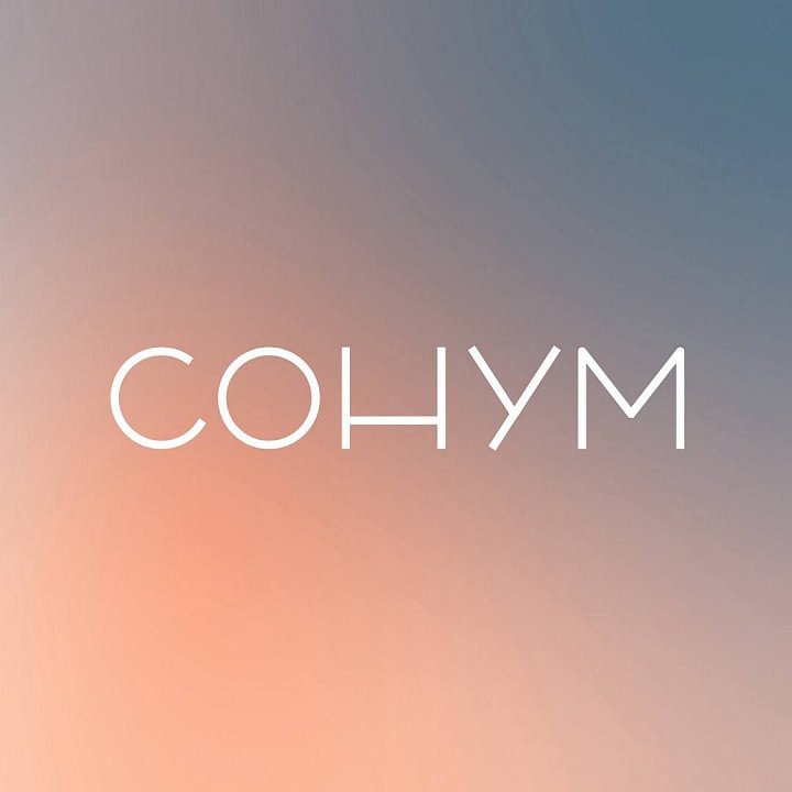 Логотип партнера