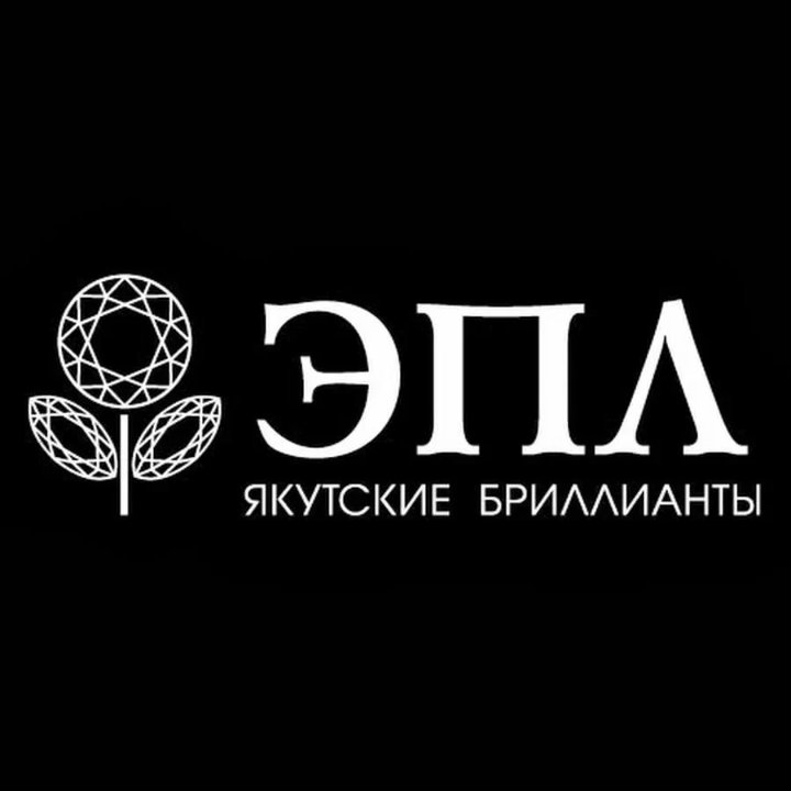 Логотип партнера