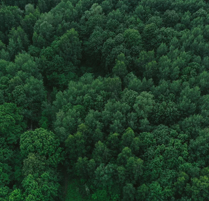 Парк Отель ZVENIGOROD