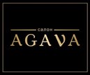 Логотип AGAVA