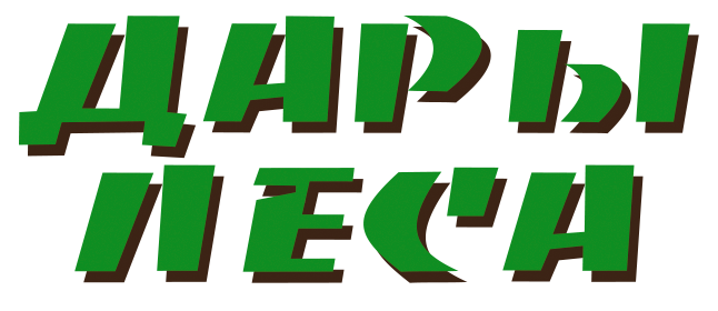 Логотип партнера