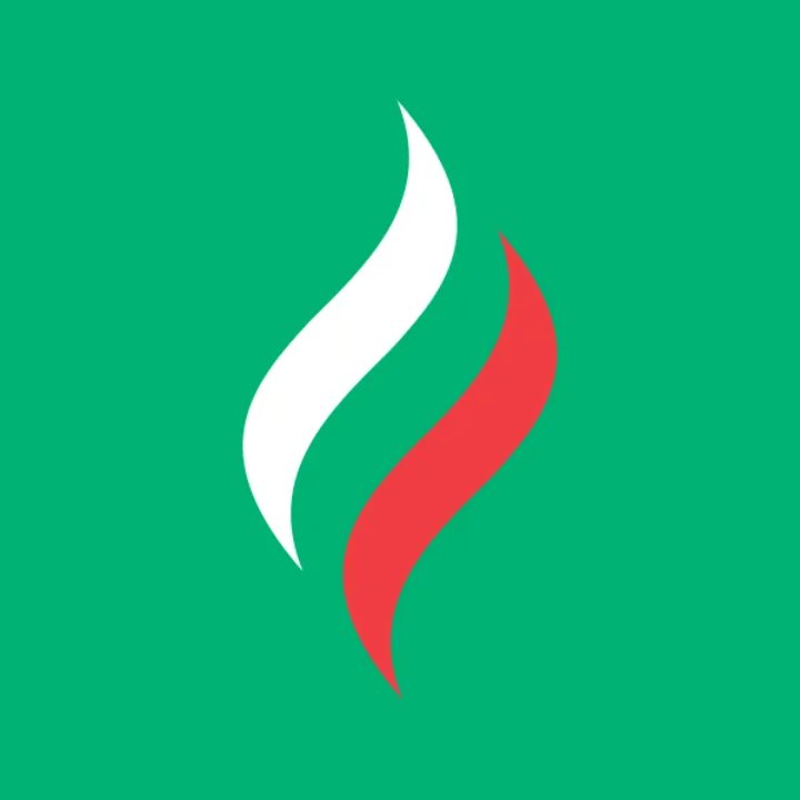 Логотип TATNEFT