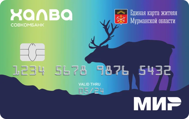 Единая карта жителя Мурманской области