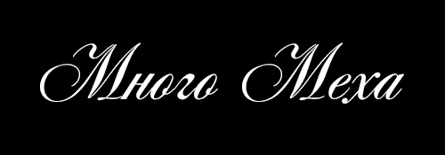 Логотип партнера