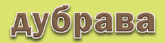 Логотип партнера